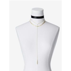 NWT Express Y Choker